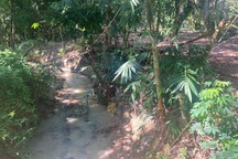 Tìm thấy thi thể bé trai 4 tuổi sau 9 ngày mất tích