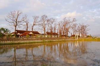 Hàng cây sao cổ thụ ở Làng Sông xác xơ sau bão, du khách nuối tiếc