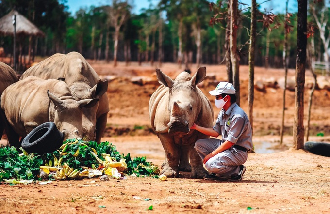 Giữa &quot;tâm bão&quot; dịch Covid-19, Vinpearl Safari đón bé tê giác mới chào đời với cái tên &quot;Chiến thắng&quot; - Ảnh 4.