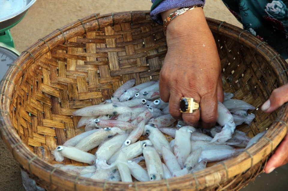 Phú Yên: Tất bật mưu sinh trong buổi sáng sớm ở làng chài ven biển - 5 Phú Yên: Tất bật mưu sinh trong buổi sáng sớm ở làng chài ven biển - 5