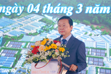 Phó Thủ tướng: Chuyển đổi mô hình tăng trưởng từ nâu sang xanh