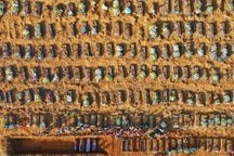 Thành phố Brazil “như phim kinh dị” vì Covid-19