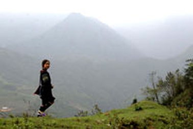 Bi hài những vụ án vùng cao 