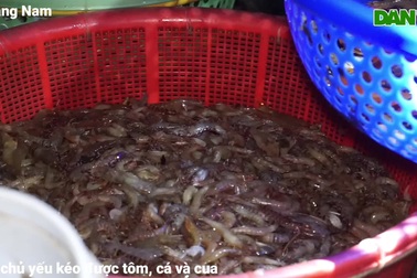 Xuyên đêm theo chân ngư dân kéo rớ bắt tôm trên sông