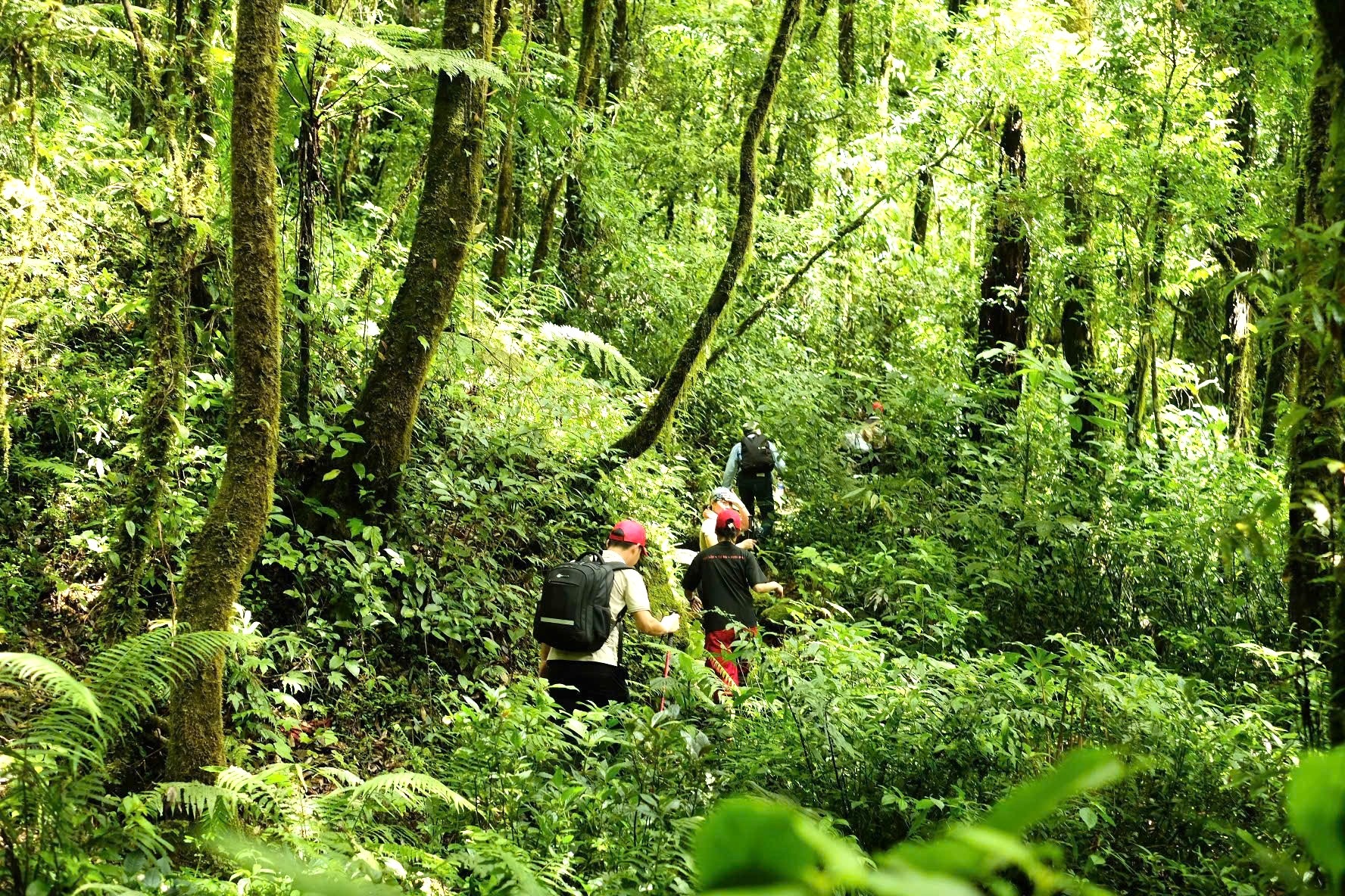 Journey to conquer Ngoc Linh peak - the roof of the South by a female teacher - 1 Hành trình chinh phục đỉnh Ngọc Linh - nóc nhà miền Nam của nữ giáo viên - 1