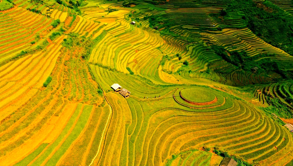 Ngắm nhìn những dải lụa vàng ở Mù Cang Chải - 14 Ngắm nhìn những dải lụa vàng ở Mù Cang Chải - 14