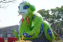 Chuyện bất ngờ về "nàng rắn hạnh phúc" mi cong, nặng 7 tấn ở Bắc Giang