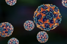 Biến thể chiếm 86% mẫu gen ca đau mắt đỏ tại TPHCM, đã gây nhiều vụ dịch