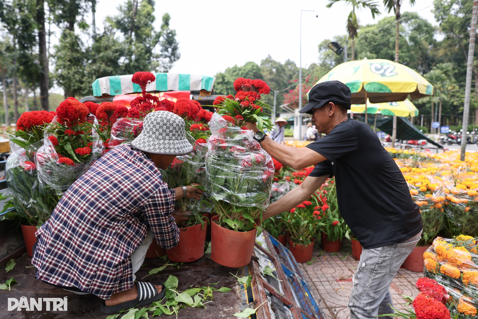 Tiểu thương ở TPHCM đập hoa, bán tháo chiều 29 Tết - 4 Tiểu thương ở TPHCM đập hoa, bán tháo chiều 29 Tết - 4