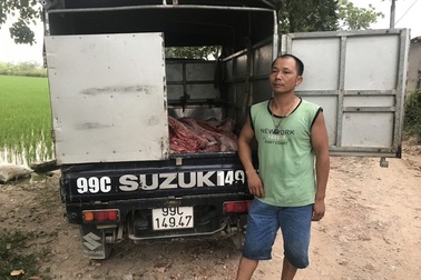 Bắt giữ xe ô tô chở gần 1 tấn thịt lợn chết đã bốc mùi