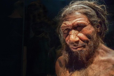 Siêu máy tính tìm ra nguyên nhân tuyệt chủng của người Neanderthal