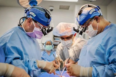 Mỹ cấy ghép thành công tim lợn cho 2 bệnh nhân chết não