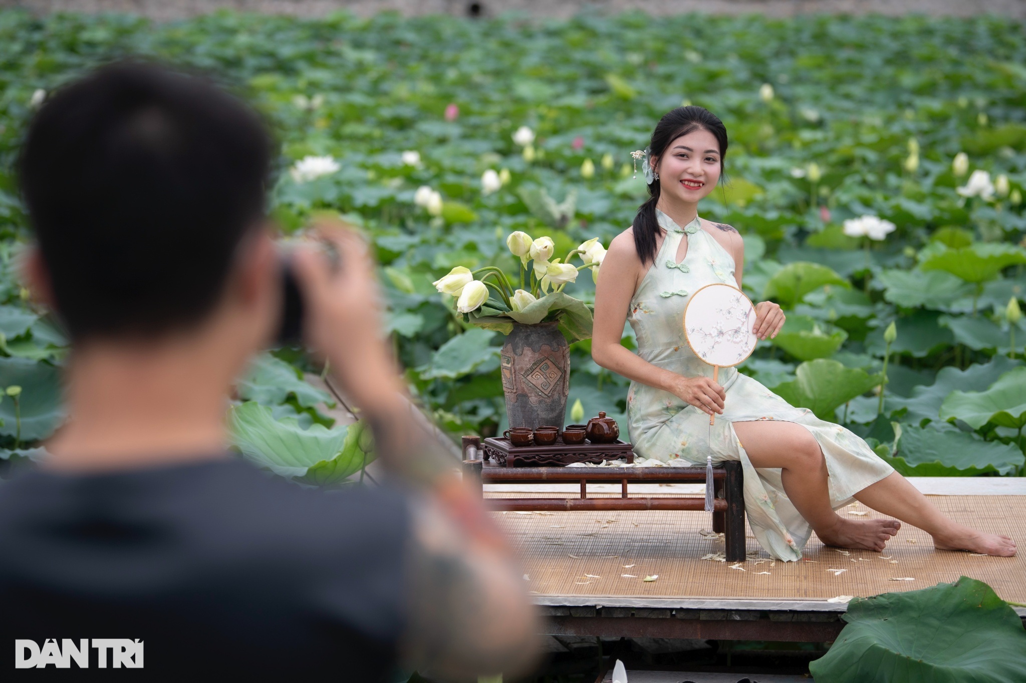 View - Giới trẻ Hà Nội chi tiền triệu thuê thợ chụp ảnh mùa sen nở sớm | Báo Dân trí