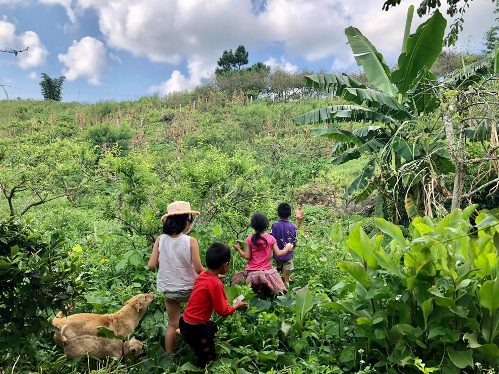 Mắc kẹt ở Mộc Châu do Hà Nội giãn cách, gia đình làm vườn đẹp mê - 9 Mắc kẹt ở Mộc Châu do Hà Nội giãn cách, gia đình làm vườn đẹp mê - 9
