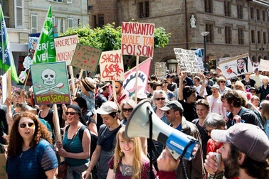 Tai tiếng Monsanto