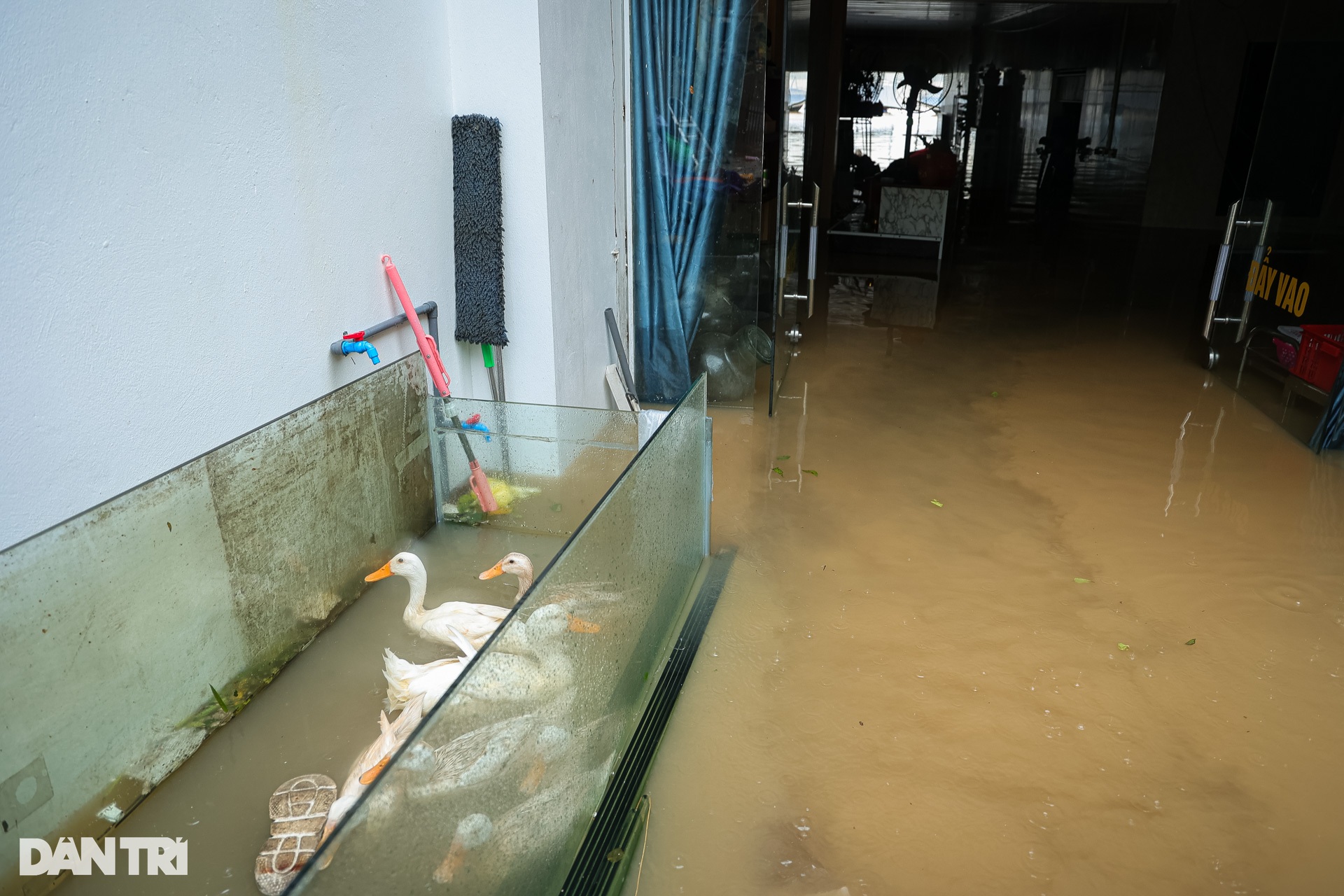 Lũ sông Hồng lên đột ngột, người Hà Nội hối hả kê cao đồ, sơ tán khỏi chỗ ở - 10