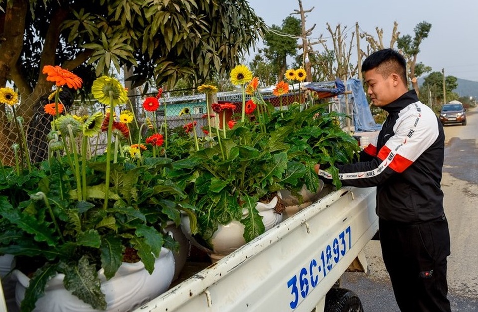 Người dân ăn ngủ cùng hoa ngày cận Tết - 7 Người dân ăn ngủ cùng hoa ngày cận Tết - 7