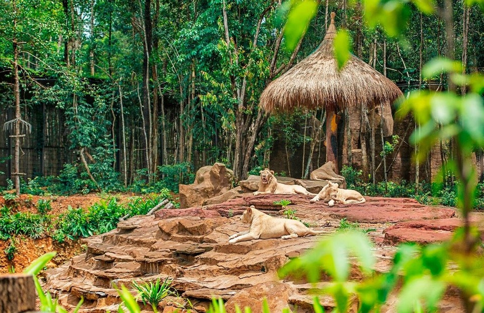 Hội nghị Bảo tồn và Phúc trạng động vật lớn nhất Đông Nam Á - 5