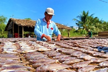 Làng khô ngon nhất Sóc Trăng tất bật chuẩn bị hàng Tết