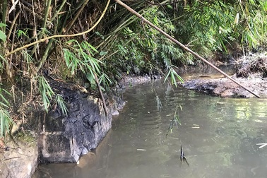 Khởi tố vụ án nước sạch Sông Đà bốc mùi, nhiễm dầu thải