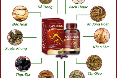 Viên uống xương khớp Ancoplus có tốt không?