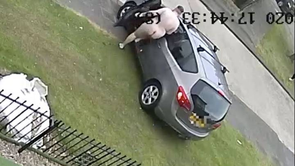 Tưởng cháu gái bị bắt cóc, người đàn ông khỏa thân chạy đuổi theo xe - 1