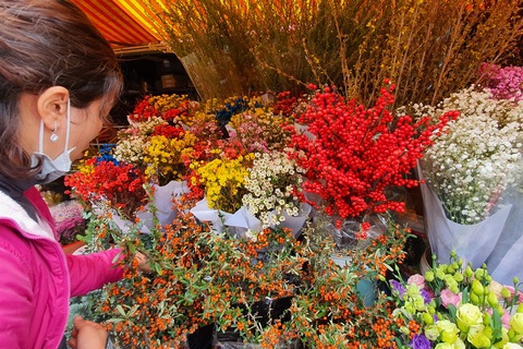 "Ngân sách" dưới 500 nghìn đồng, trưng Tết cây gì vừa đẹp vừa sang?