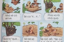 Bộ trưởng Phùng Xuân Nhạ báo cáo về “sự cố” sách giáo khoa Tiếng Việt 1