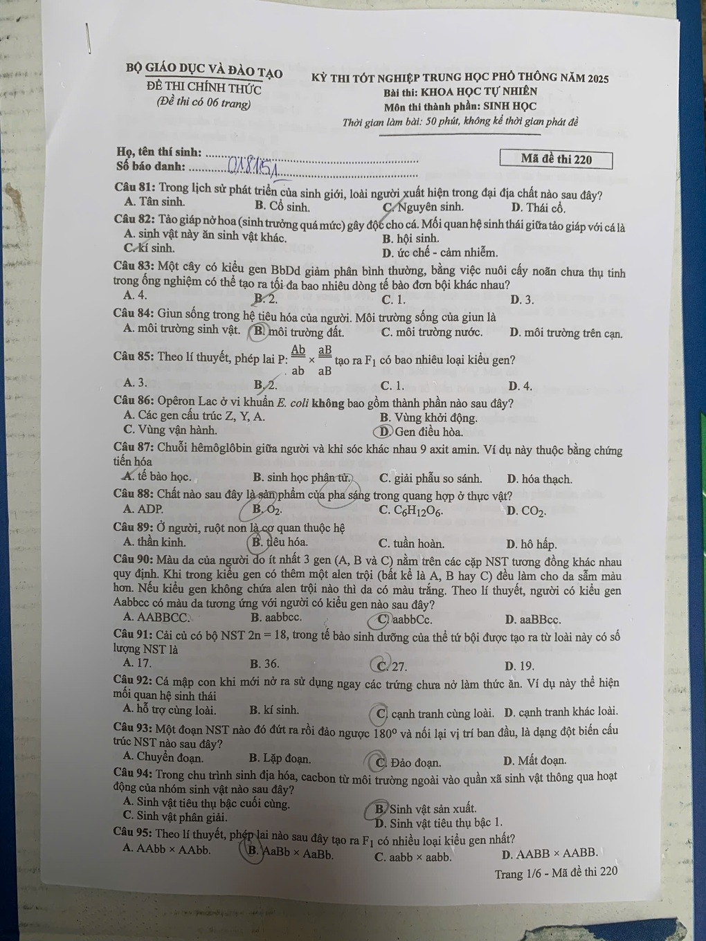 Đề thi và đáp án tốt nghiệp THPT 2025 môn sinh học chương trình GDPT 2006 - 1 Đề thi và đáp án tốt nghiệp THPT 2025 môn sinh học chương trình GDPT 2006 - 1
