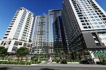 CEO bị khởi tố, cổ phiếu NDN lao dốc và động thái bất ngờ của sếp mới