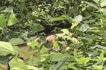 Phát hiện người đàn ông tử vong sau 3 ngày mất tích