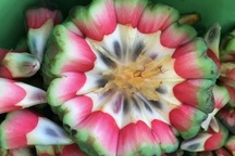 Na rừng có công dụng gì mà được nhiều người tìm mua?