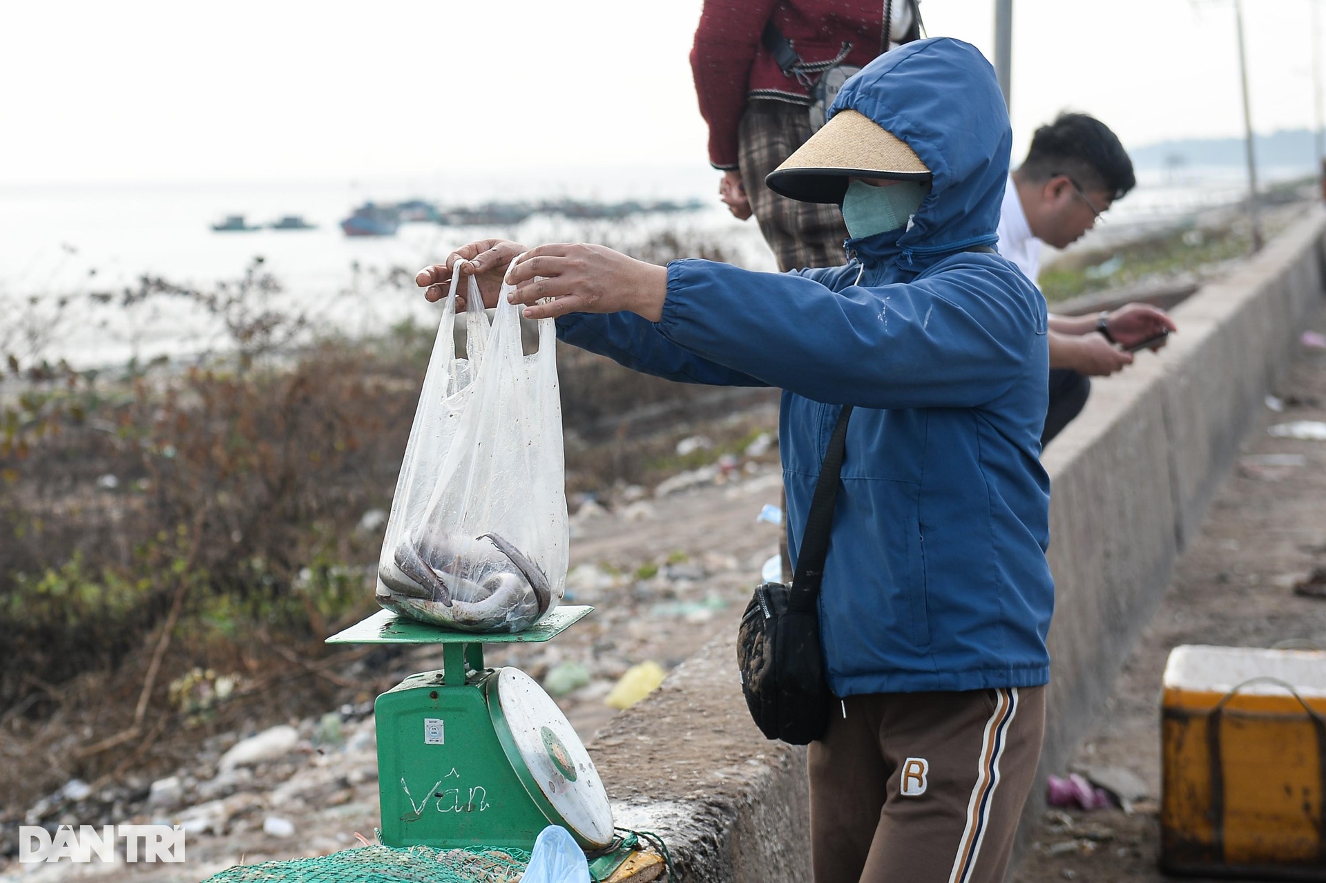 Xông biển chuyến đầu năm, ngư dân kiếm tiền triệu - 8 Xông biển chuyến đầu năm, ngư dân kiếm tiền triệu - 8