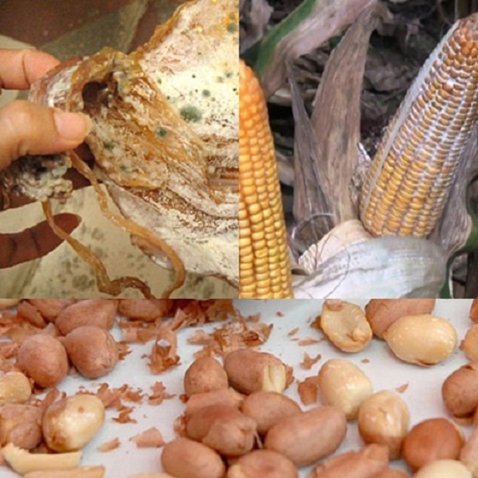 6 nhóm thực phẩm tế bào ung thư cực thích, cần tránh xa càng sớm càng tốt - 2 6 nhóm thực phẩm tế bào ung thư cực thích, cần tránh xa càng sớm càng tốt - 2
