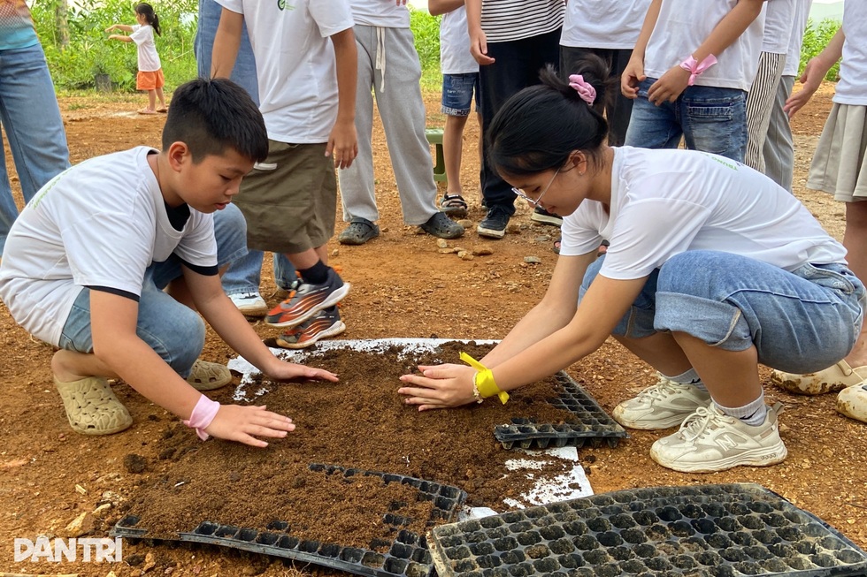Bị cho là điên, người đàn ông vẫn quyết bỏ phố về quê trồng rừng - 5 Bị cho là điên, người đàn ông vẫn quyết bỏ phố về quê trồng rừng - 5