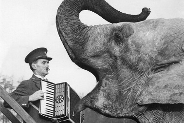 Vẻ hài hước lạ lẫm của những bức ảnh cổ