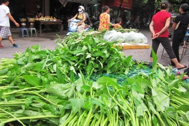 Bão tan, giá rau xanh vẫn chưa “hạ nhiệt”