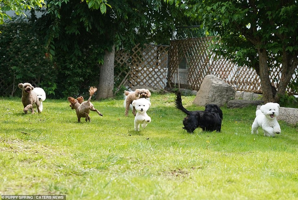 Phát sốt với những khoảnh khắc đốn tim - 8 Phát sốt với những khoảnh khắc đốn tim - 8