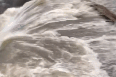 Du khách đang tắm suối, nước đầu nguồn bất ngờ tràn về như lũ quét