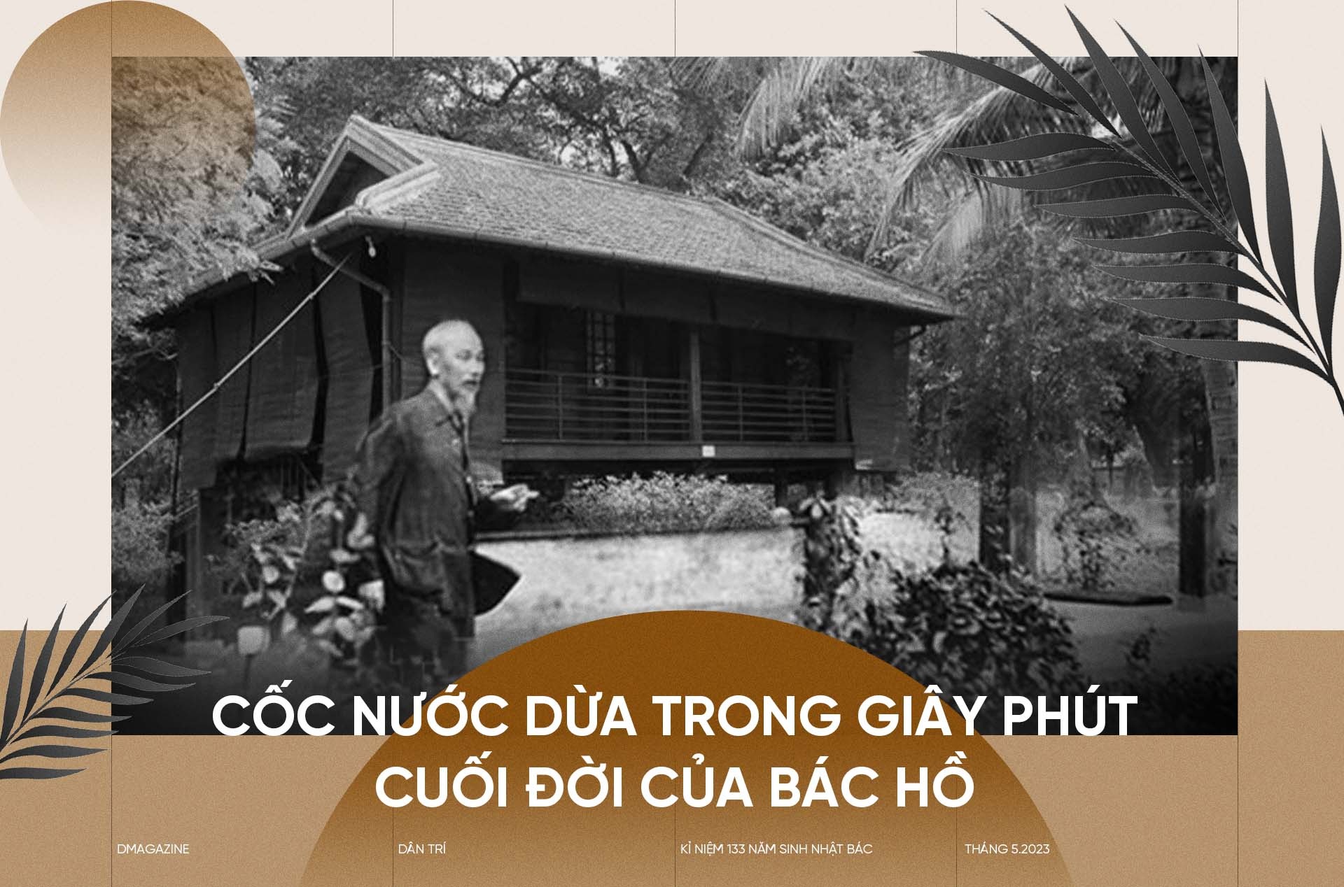 Cốc nước dừa trong giây phút cuối đời của Bác Hồ