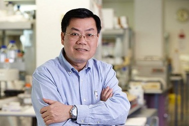 Giáo sư gốc Việt đầu tiên được bầu làm Viện sĩ Viện hàn lâm y học Úc