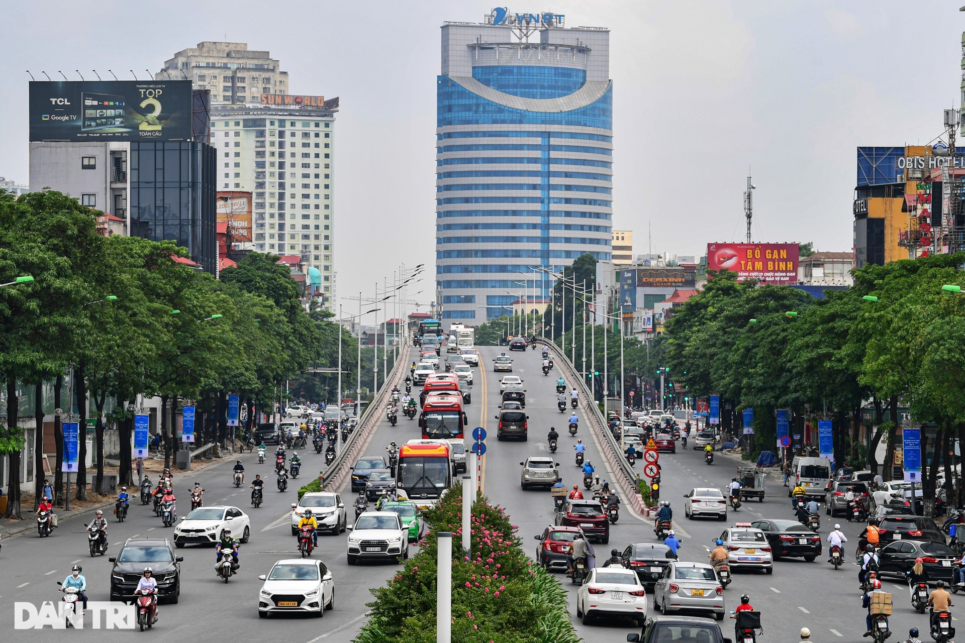 Hiện trạng 80 cây hoa sữa gây mùi khó chịu bị đề xuất di dời ở Hà Nội - 1 Hiện trạng 80 cây hoa sữa gây mùi khó chịu bị đề xuất di dời ở Hà Nội - 1