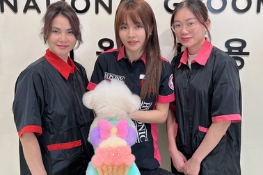 Biến lông thú cưng thành tranh 3D, cô gái xinh đẹp gây sốt mạng