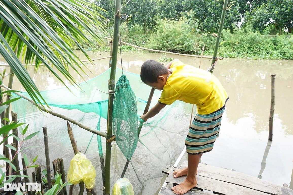 Cha mất, mẹ bỏ đi, cậu bé 9 tuổi mò cua, bắt ốc nuôi chị gái khờ khạo - 1 Cha mất, mẹ bỏ đi, cậu bé 9 tuổi mò cua, bắt ốc nuôi chị gái khờ khạo - 1