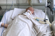 Nhiều cô gái bỗng la hét kích động rồi hôn mê, phải "thay máu" ở TPHCM