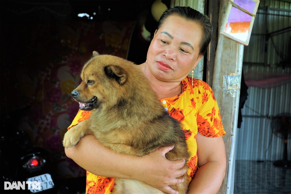 Cưu mang chú chó 3 chân không ngờ chú chó cứu sống chủ khỏi cửa tử - 3