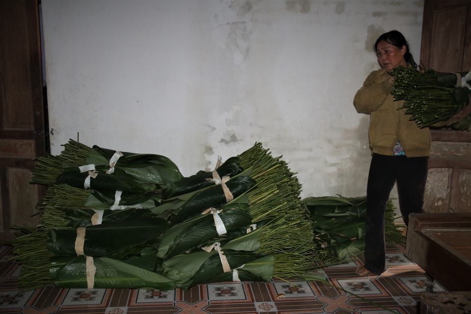Hà Tĩnh: Thủ phủ lá dong Đức Thọ hối hả vào vụ Tết - 6 Hà Tĩnh: Thủ phủ lá dong Đức Thọ hối hả vào vụ Tết - 6