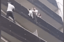 Những người hùng cứu sống những sinh linh bé nhỏ trong khoảnh khắc nguy nan