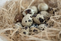 Món ăn giúp nam giới kéo dài “cuộc yêu”