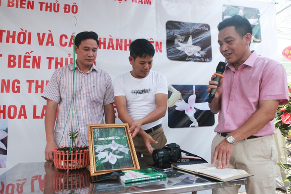 Choáng những giỏ hoa lan đột biến hiếm thấy ở Hà Nội, giá hàng trăm triệu - 15 Choáng những giỏ hoa lan đột biến hiếm thấy ở Hà Nội, giá hàng trăm triệu - 15